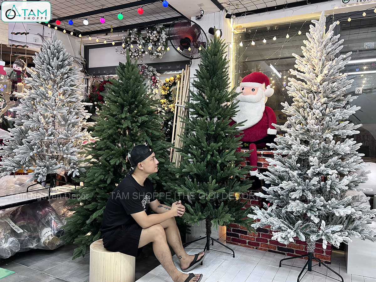 Cây thông Noel cỡ lớn