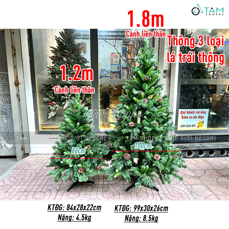 15 tips trang trí cây thông Noel cực xinh cho mùa Giáng sinh 2023